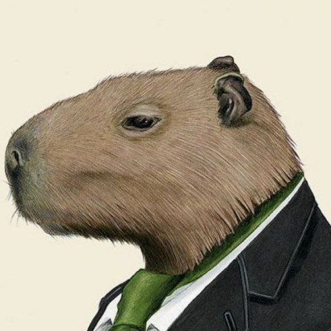CapyCrypto