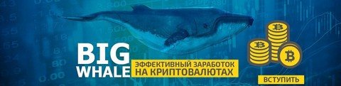 Bigwhale1