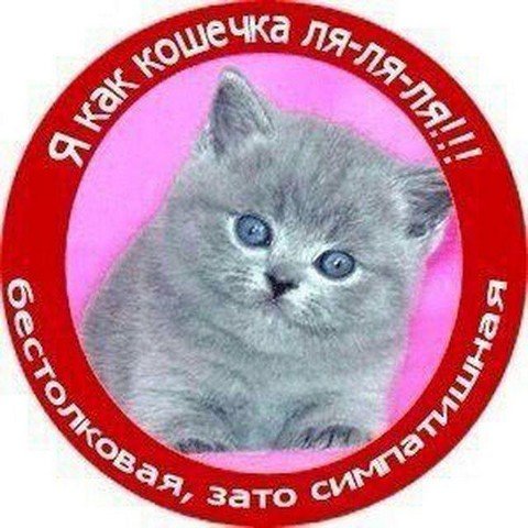 Мои мемы