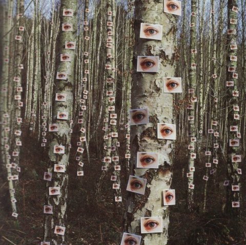 Самопознание