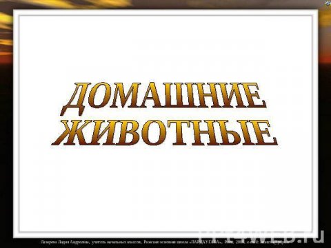 Зооритм