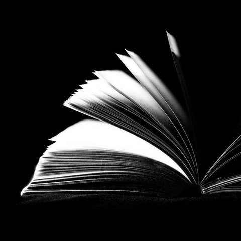 Daily Reader