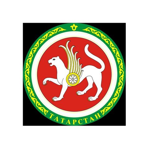 чат Республики Татарстан