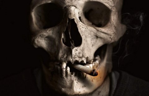 Paranormal24
