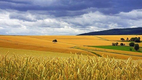 Агро.Клуб