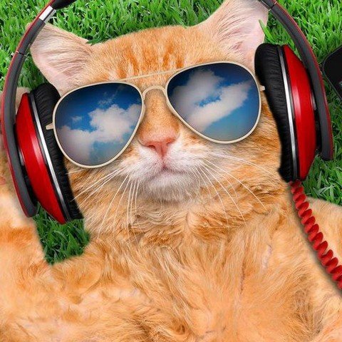 Musical head