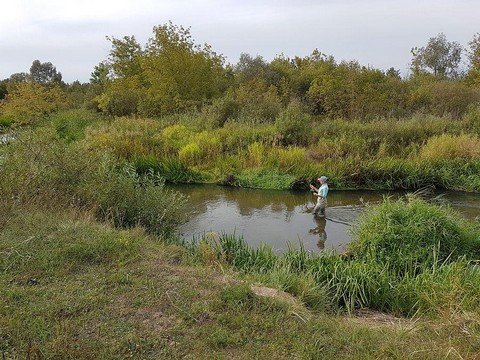 Chalk stream