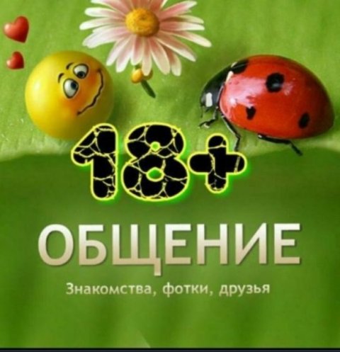 Лучшие