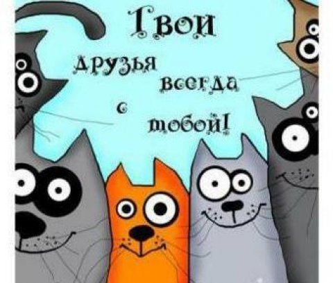 Весёлые "старички"
