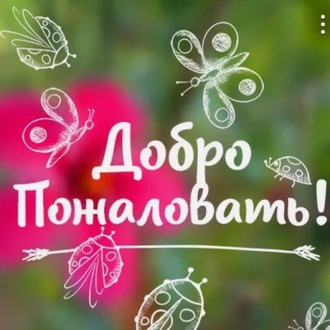 Крик души