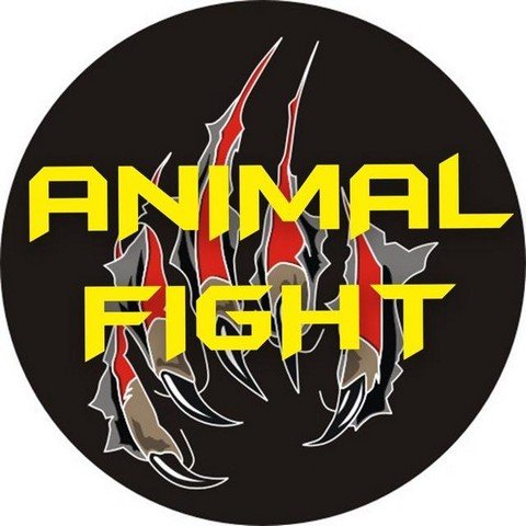 ANIMAL FIGHT