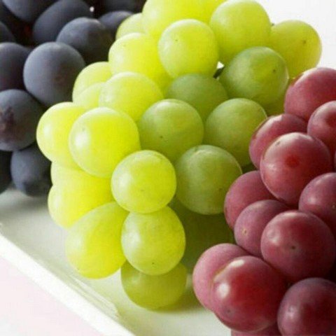 Саженцы винограда лучших сортов