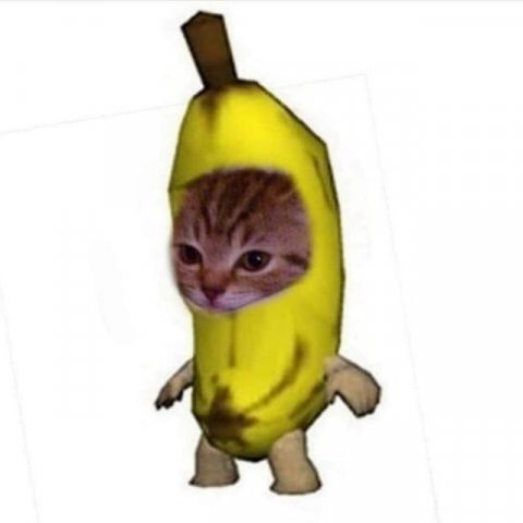 memstyt