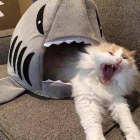 На дне