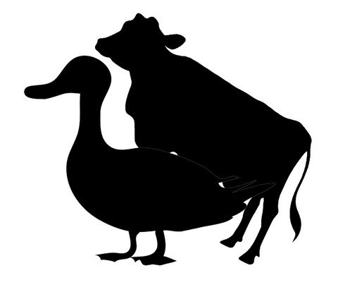 MooDuck