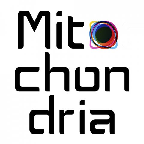 Mitochondria