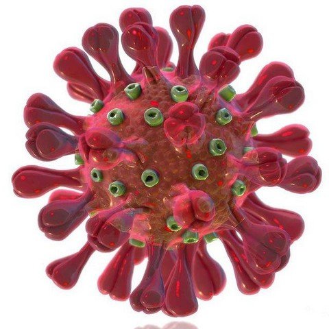 Информация о коронавирусе (ENG)