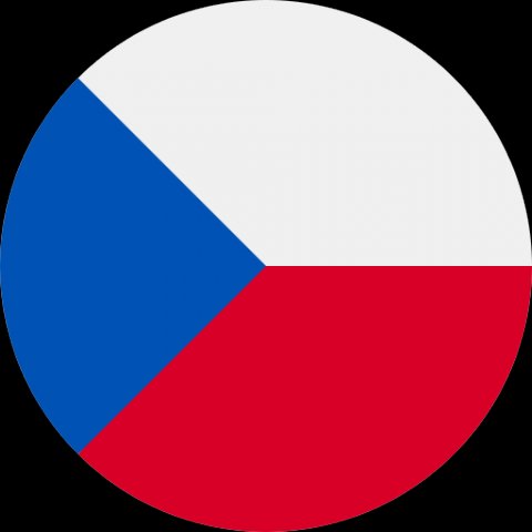 Чешский социум
