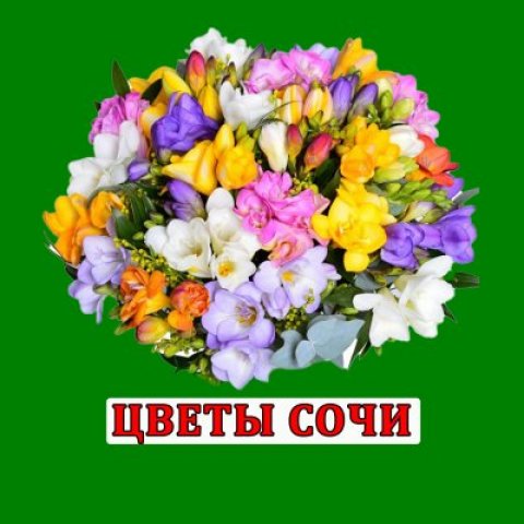 Цветы сочи