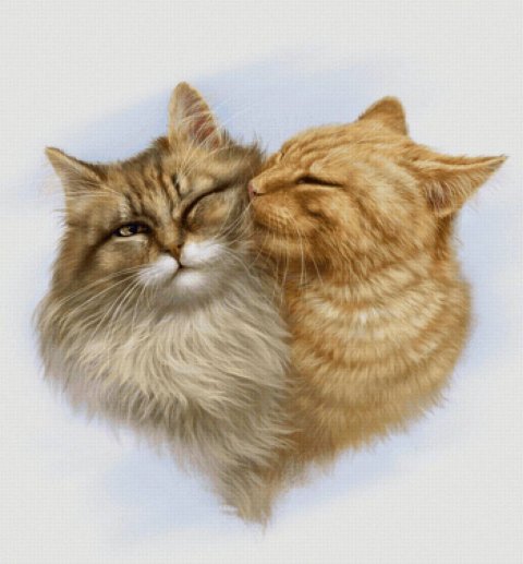 Мир кошек