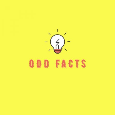 Интересные факты💡