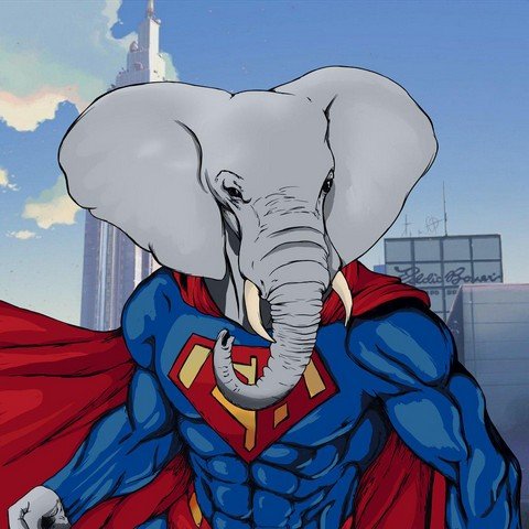 Elephant Hero