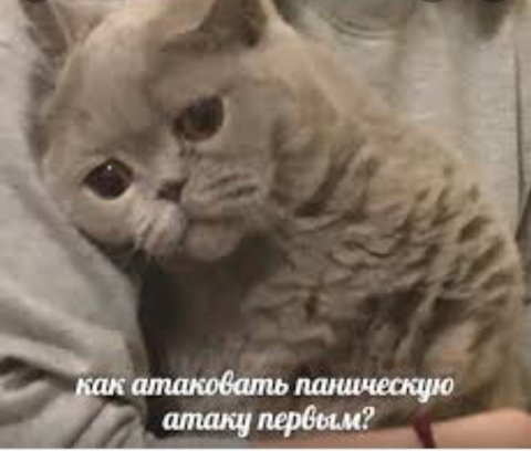 На панике
