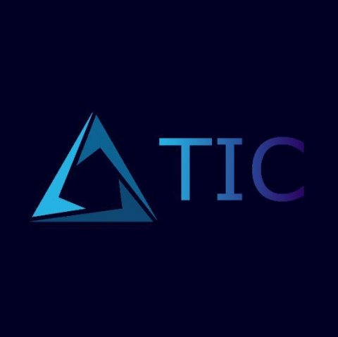 TECHNOLOGY INVESTMENTS COMPANY