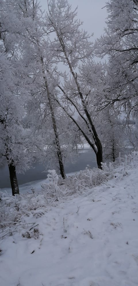 Уфимские