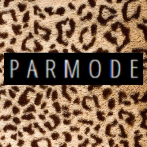 PARMODE fashion blog