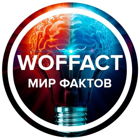 Мир Фактов