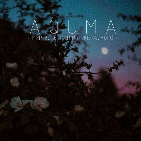 A Q U M A