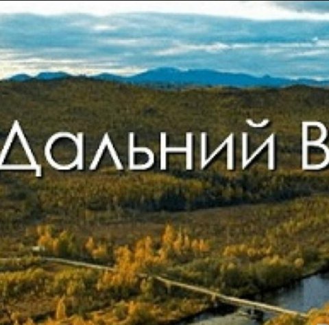 ССЫЛОЧНАЯ ДВ
