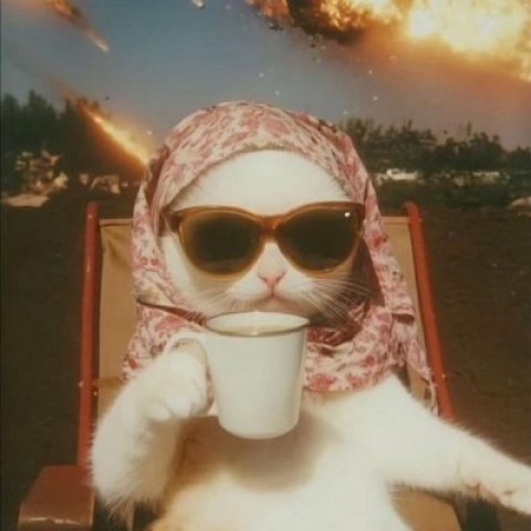 🔥Стикерочки🔥❤️