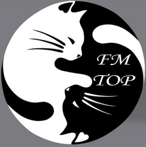 FAN MUSIC TOP