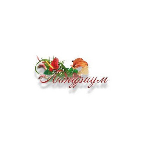 Антуриум - Сорта