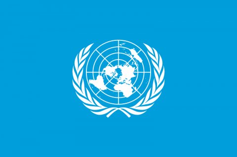 ООН на удаленке