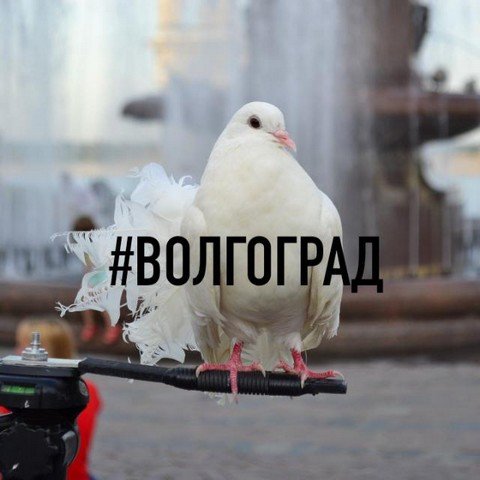 Volgograd