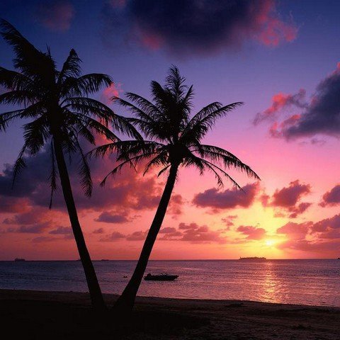 Sunset Inspiration