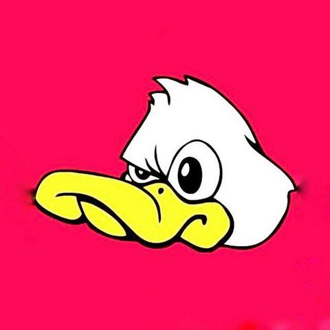 Football duck
