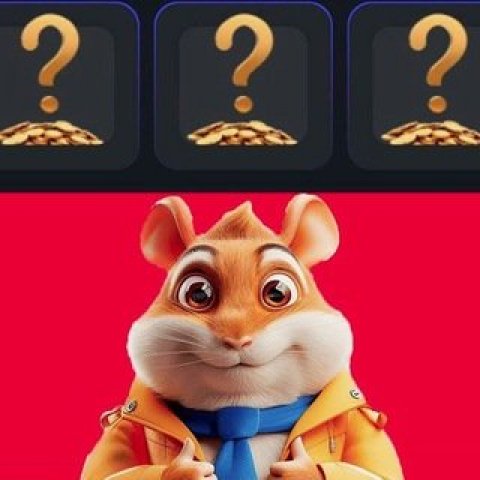 Комбо карты в хомяке | Hamster Kombat Combo