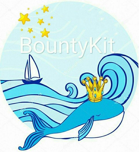Новости BountyKit