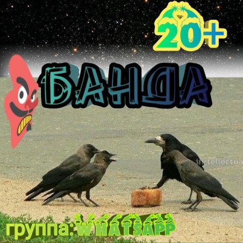 БАНДА