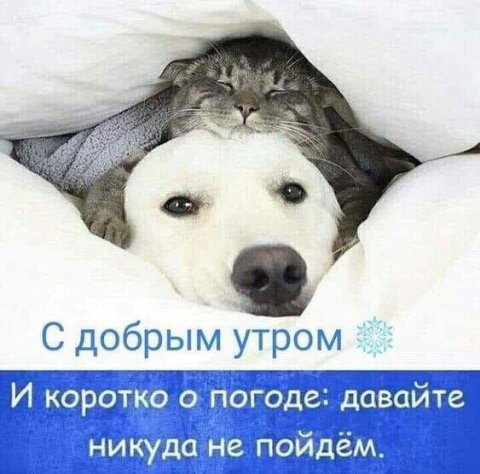 Стикеры