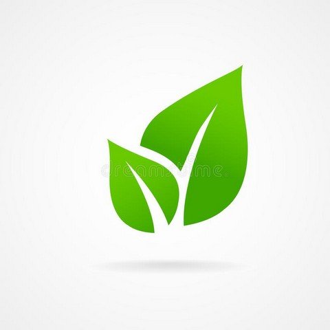 Young Group.Social