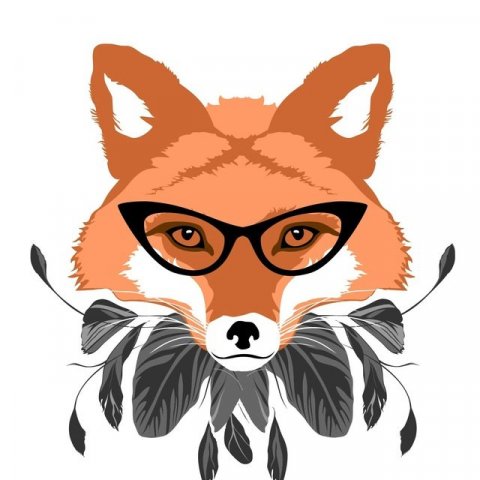 Sale Foxes