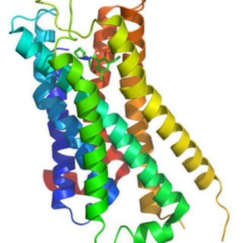 Dopamine et al.