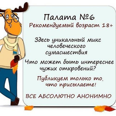 Палата №6