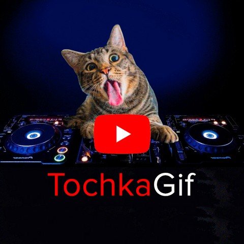 TochkaGif