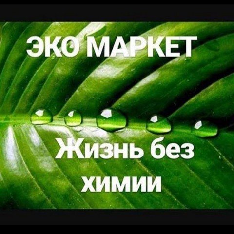 БЕЗ ХИМИИ